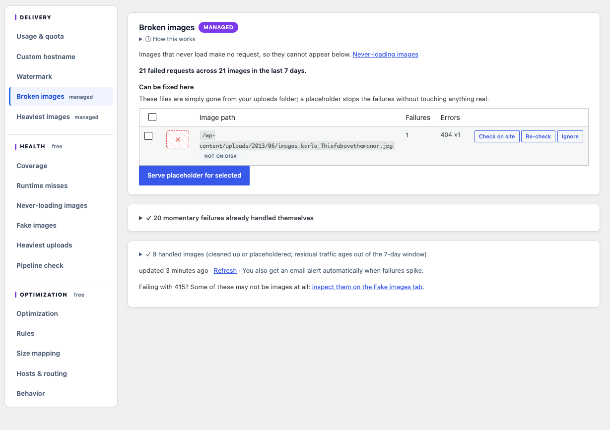 Broken images pane with the Images tab rail: 21 failed requests across 21 images in the last 7 days; one file not on disk with Check on site, Re-check and Ignore buttons and a Serve placeholder for selected button; 20 momentary failures already handled themselves; 9 handled images